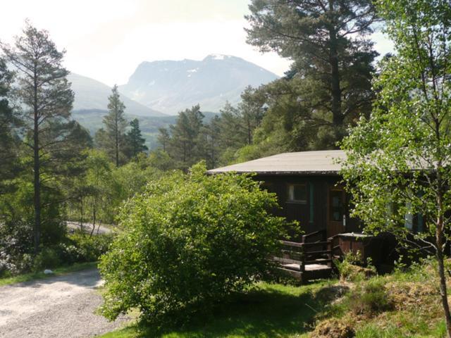 Kingswood * Fort William
